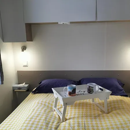 Chalet Baie De Canche Dans La Pinede *